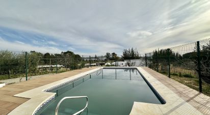 Land of 3,800 m² in Cartaya (21450)