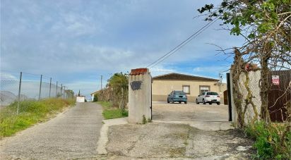 Land of 3,800 m² in Cartaya (21450)