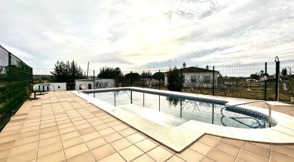 Land of 3,800 m² in Cartaya (21450)