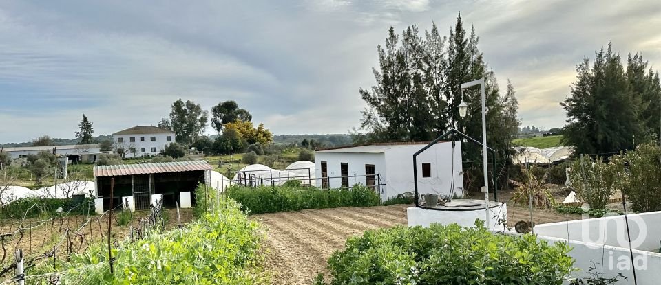 Terreno de 3.800 m² en Cartaya (21450)