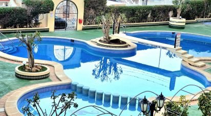 Apartment 1 bedroom of 41 m² in Torrevieja (03188)
