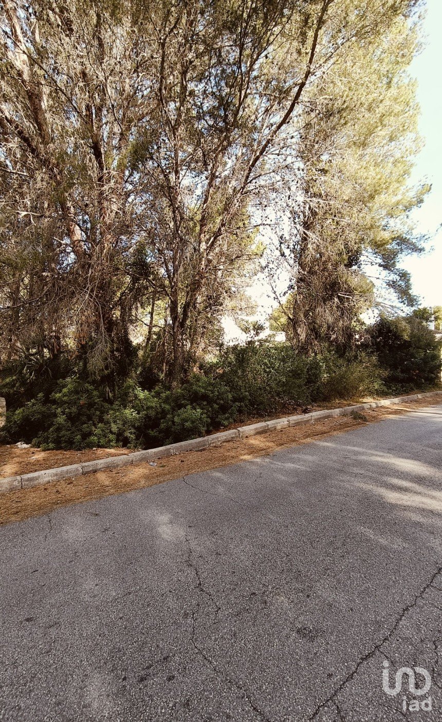 Terreno de 576 m² en L'Ametlla de Mar (43860)