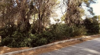 Terreno de 576 m² en L'Ametlla de Mar (43860)