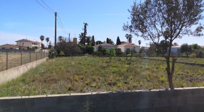 Terreno de 569 m² en Vinaros (12500)