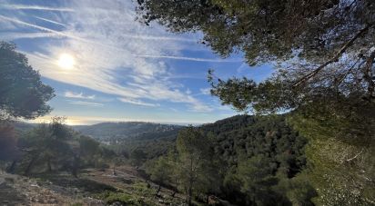 Terra de 896 m² a Castellet i la Gornal (08729)