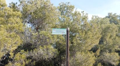 Farm land of 18,760 m² in Vinaixa (25440)