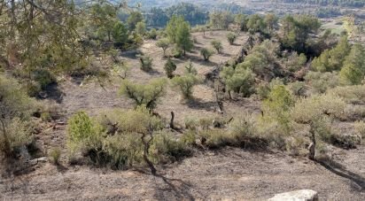 Farm land of 18,760 m² in Vinaixa (25440)