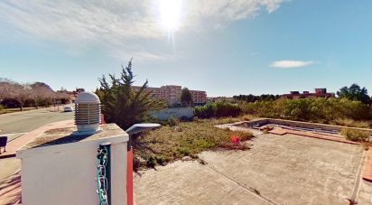 Land of 0 m² in Els Pallaresos (43151)