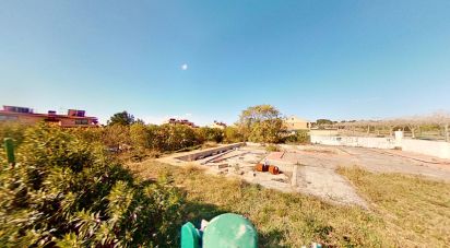 Land of 0 m² in Els Pallaresos (43151)
