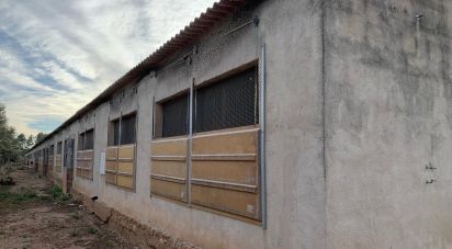Terrain de 18 627 m² à Mas de Barberans (43514)