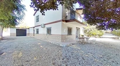 Casa 5 habitacions de 265 m² a Crevillent (03330)