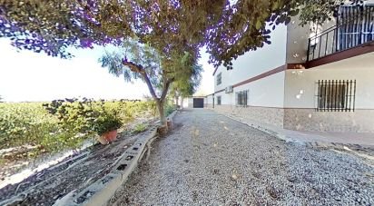 Casa 5 habitacions de 265 m² a Crevillent (03330)