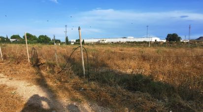Land of 10,000 m² in Aspe (03680)
