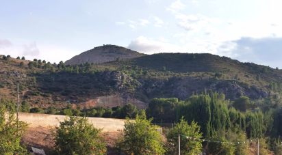Land of 10,000 m² in Aspe (03680)