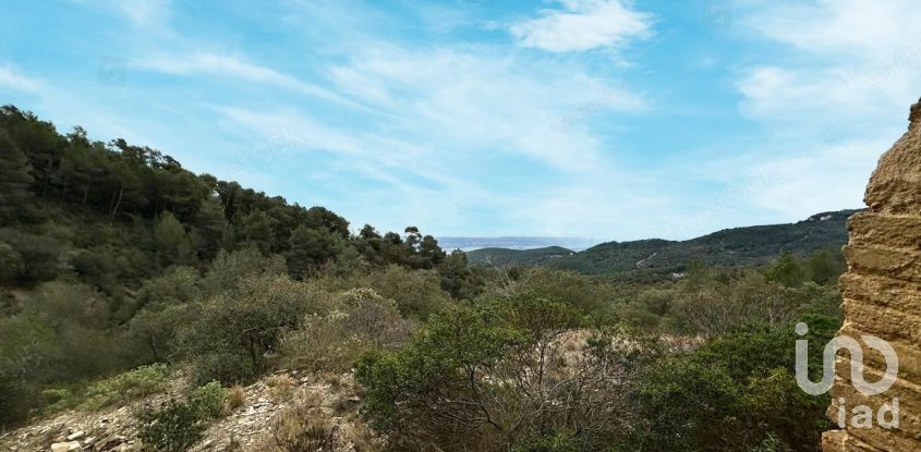 Land of 486,725 m² in Figuerola del Camp (43811)