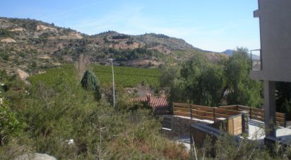 Terreno de 564 m² en Castellón de la Plana/Castelló de la Plana (12004)