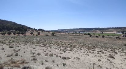 Terreno de 59.912 m² en Ontígola (45340)