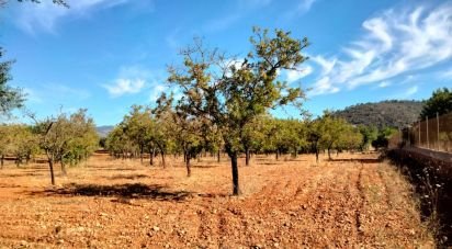 Land of 18,000 m² in Marratxí (07141)