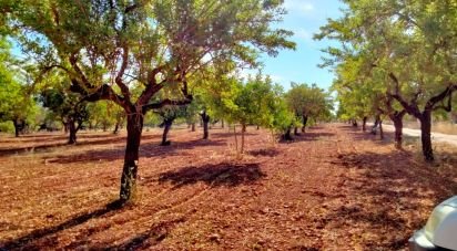 Land of 18,000 m² in Marratxí (07141)