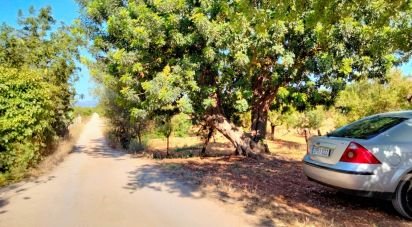 Land of 18,000 m² in Marratxí (07141)