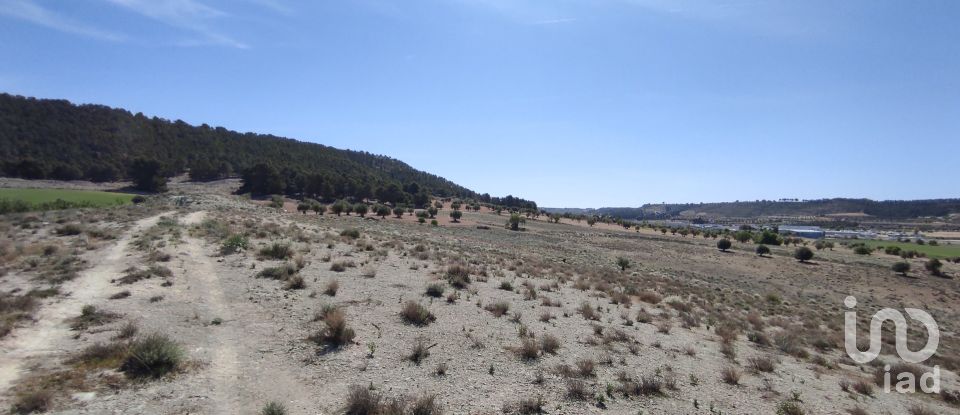 Terreno de 7.450 m² en Ciruelos (45314)