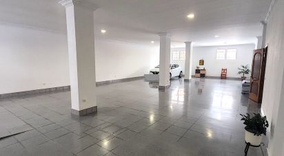 Gîte 9 chambres de 623 m² à Vejer de la Frontera (11150)