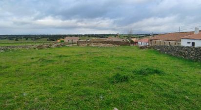 Land of 1,640 m² in Vecinos (37456)