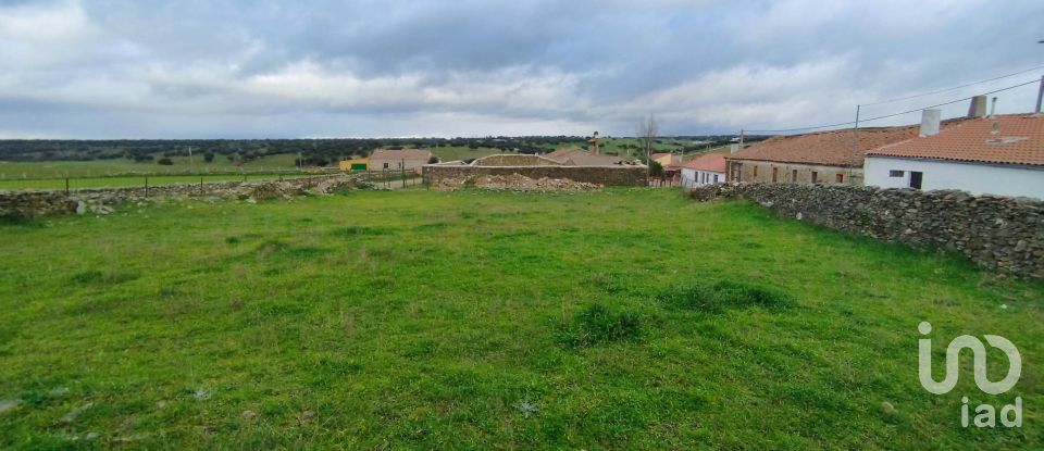 Terreno de 1.640 m² en Vecinos (37456)