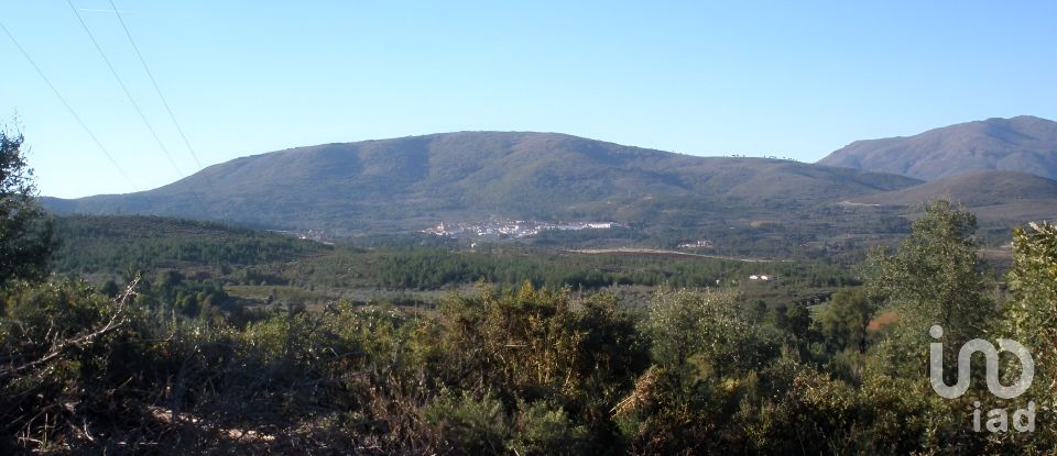 Land of 16,200 m² in Perales del Puerto (10896)