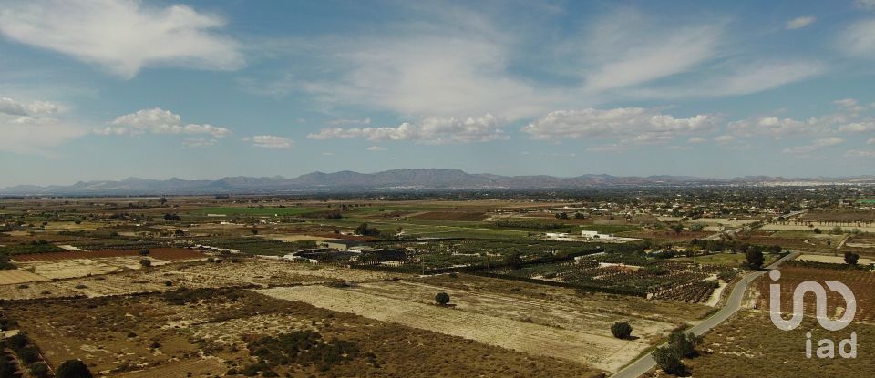Land of 10,304 m² in Partida El Molar (03194)