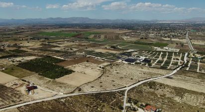 Land of 10,304 m² in Partida El Molar (03194)