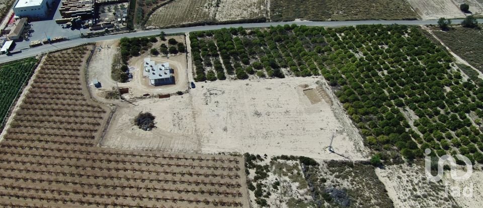 Terreno de 10.304 m² en Partida El Molar (03194)