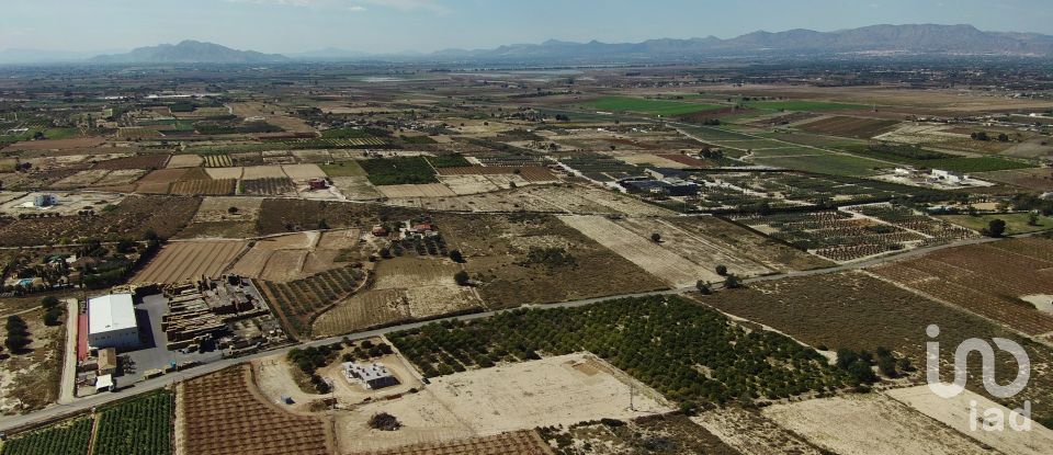 Land of 10,304 m² in Partida El Molar (03194)
