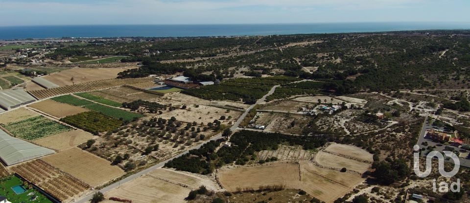 Terreno de 10.304 m² en Partida El Molar (03194)
