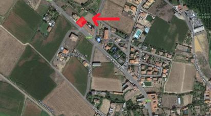 Terra de 663 m² a Hospital de Órbigo (24286)