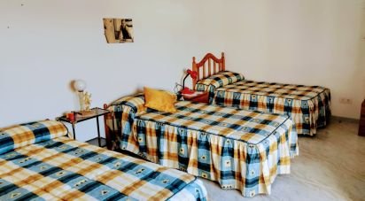 Block of flats 3 bedrooms of 74 m² in Les Cases d'Alcanar (43569)