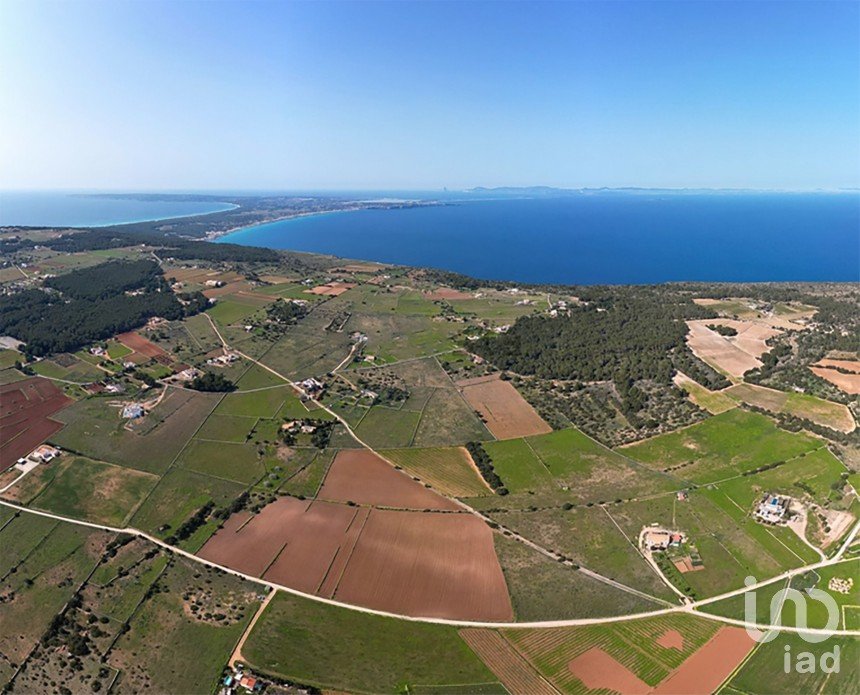 Land of 15,000 m² in Faro de La Mola (07872)