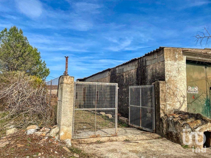 Shop / premises commercial of 208 m² in Nucleo Beniali (03788)