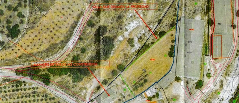 Shop / premises commercial of 208 m² in Nucleo Beniali (03788)