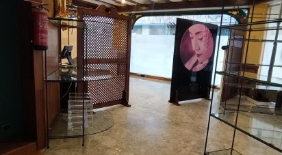 Shop / premises commercial of 380 m² in Benavente (49600)