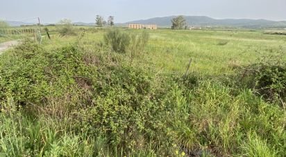 Land of 158,904 m² in Carcaboso (10670)