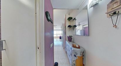 Studio 0 bedrooms of 24 m² in La Pineda (43481)
