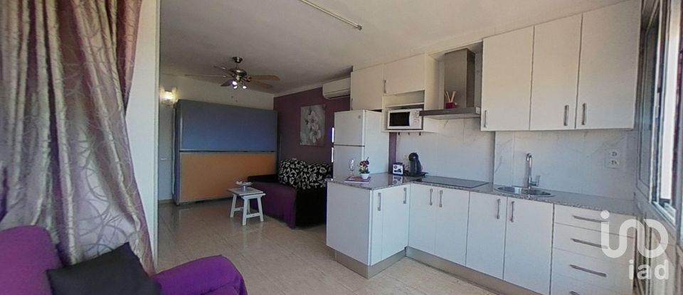 Estudio 0 habitaciones de 24 m² en La Pineda (43481)