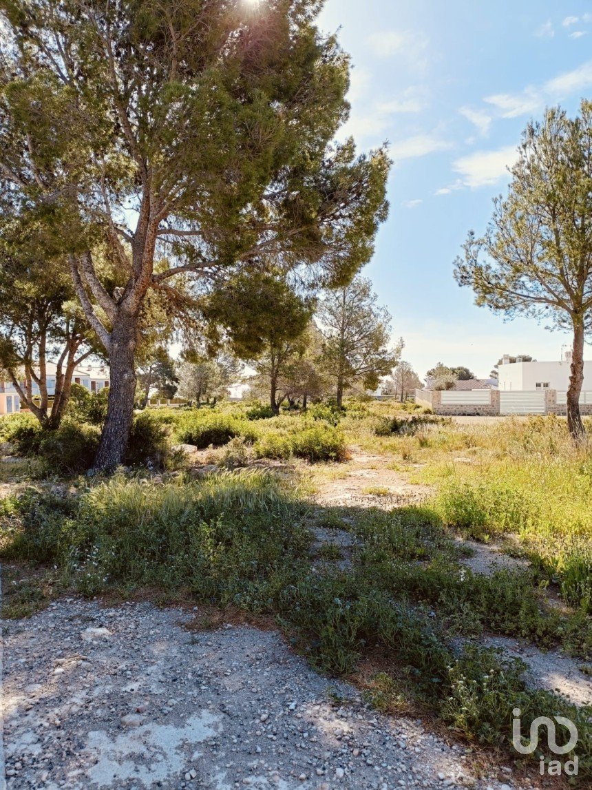 Terreno de 734 m² en L'Ametlla de Mar (43860)
