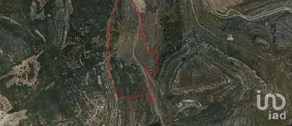 Terreno de 201.675 m² en Catí (12513)