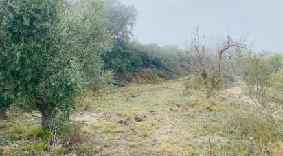 Land of 27,212 m² in Les Borges Blanques (25400)