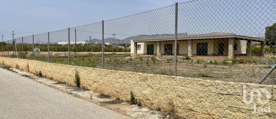 Country house 7 bedrooms of 550 m² in Elx/Elche (03296)