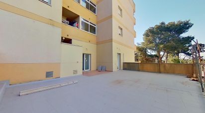 Appartement 2 chambres de 60 m² à Reco de Salou (43840)