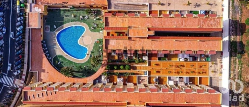 Apartment 1 bedroom of 88 m² in Playa de Los Cristianos (38650)
