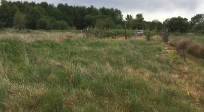 Land of 5,806 m² in Santibáñez de Vidriales (49610)